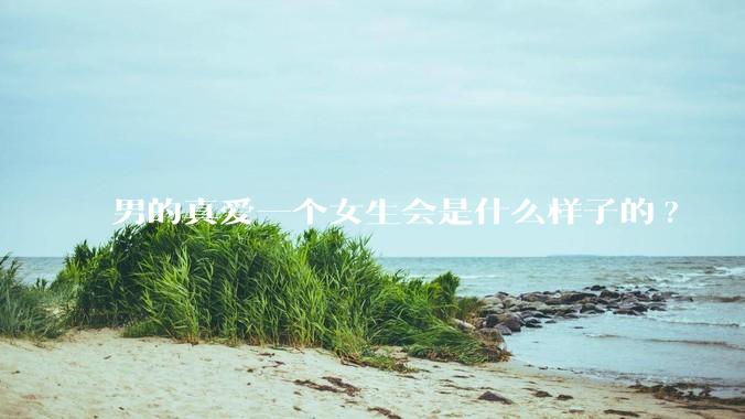男的真爱一个女生会是什么样子的?